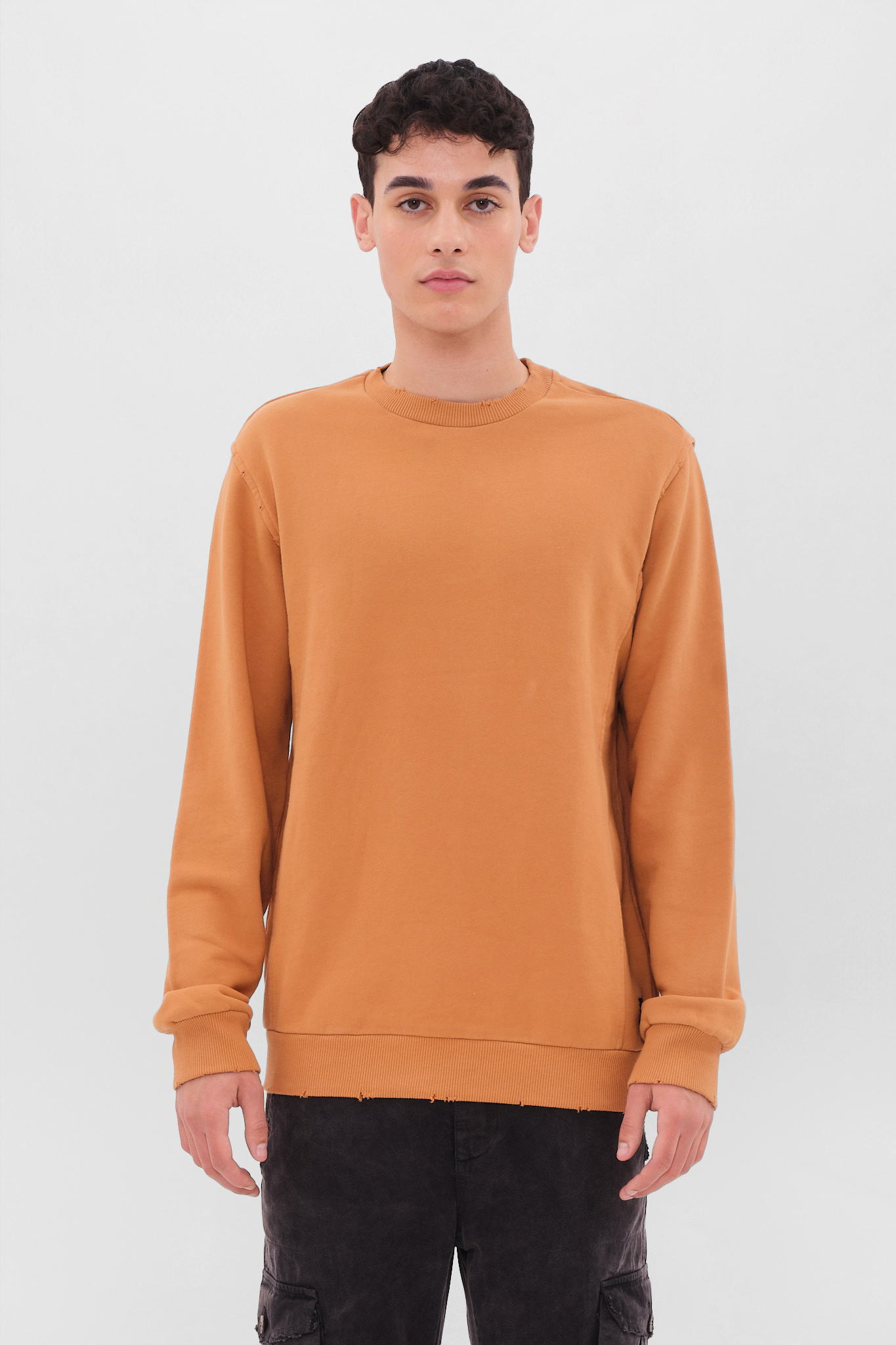 REGULAR CREWNECK WITH DESTROYS