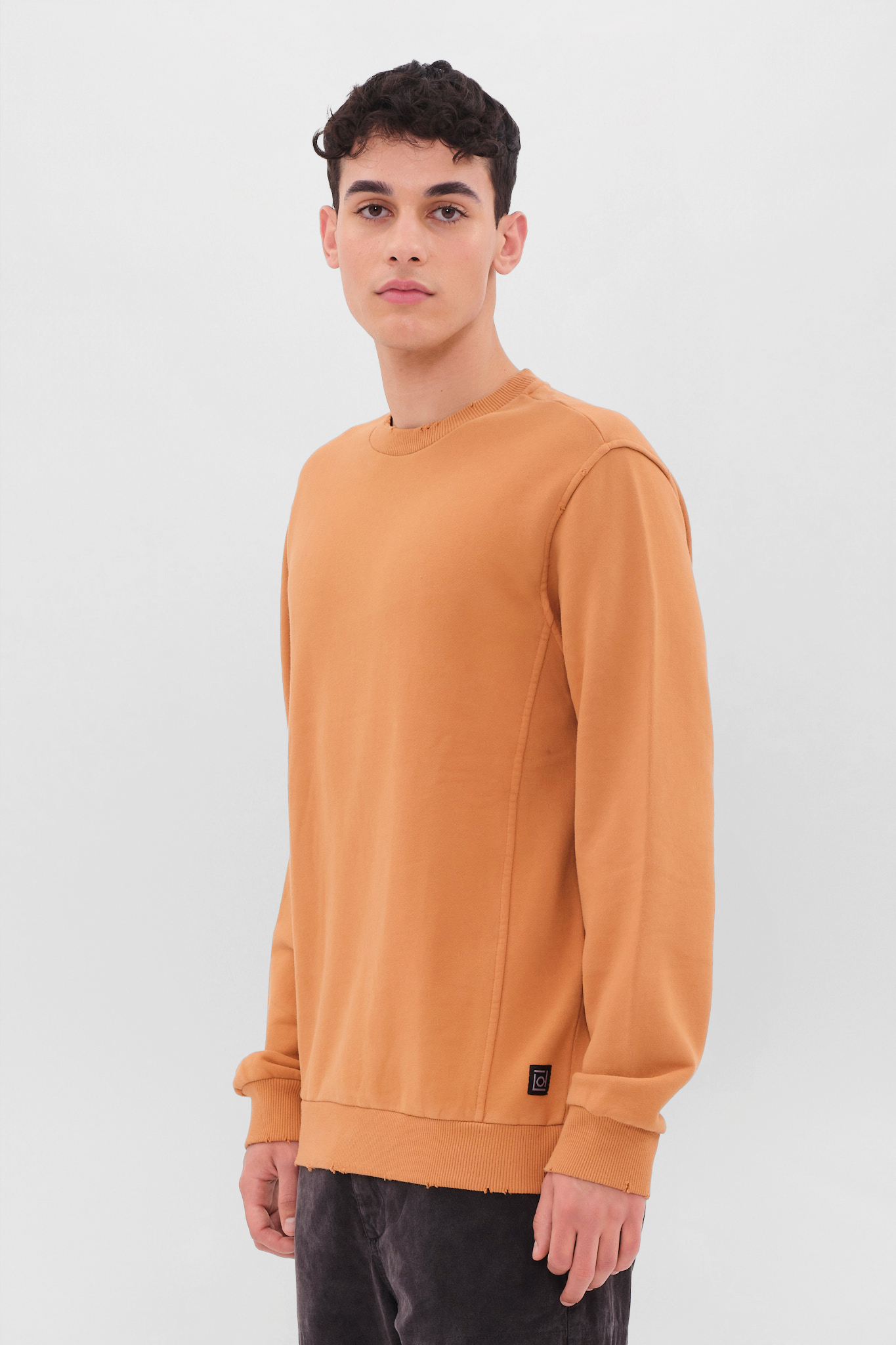 REGULAR CREWNECK WITH DESTROYS