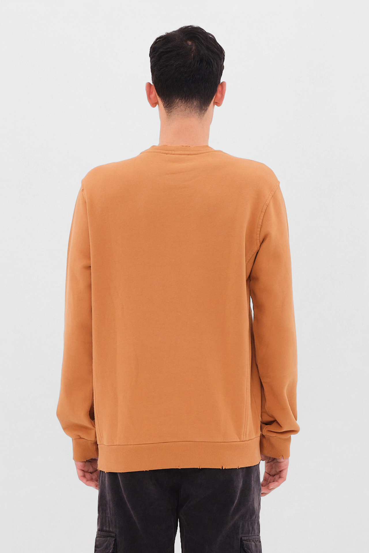 REGULAR CREWNECK WITH DESTROYS