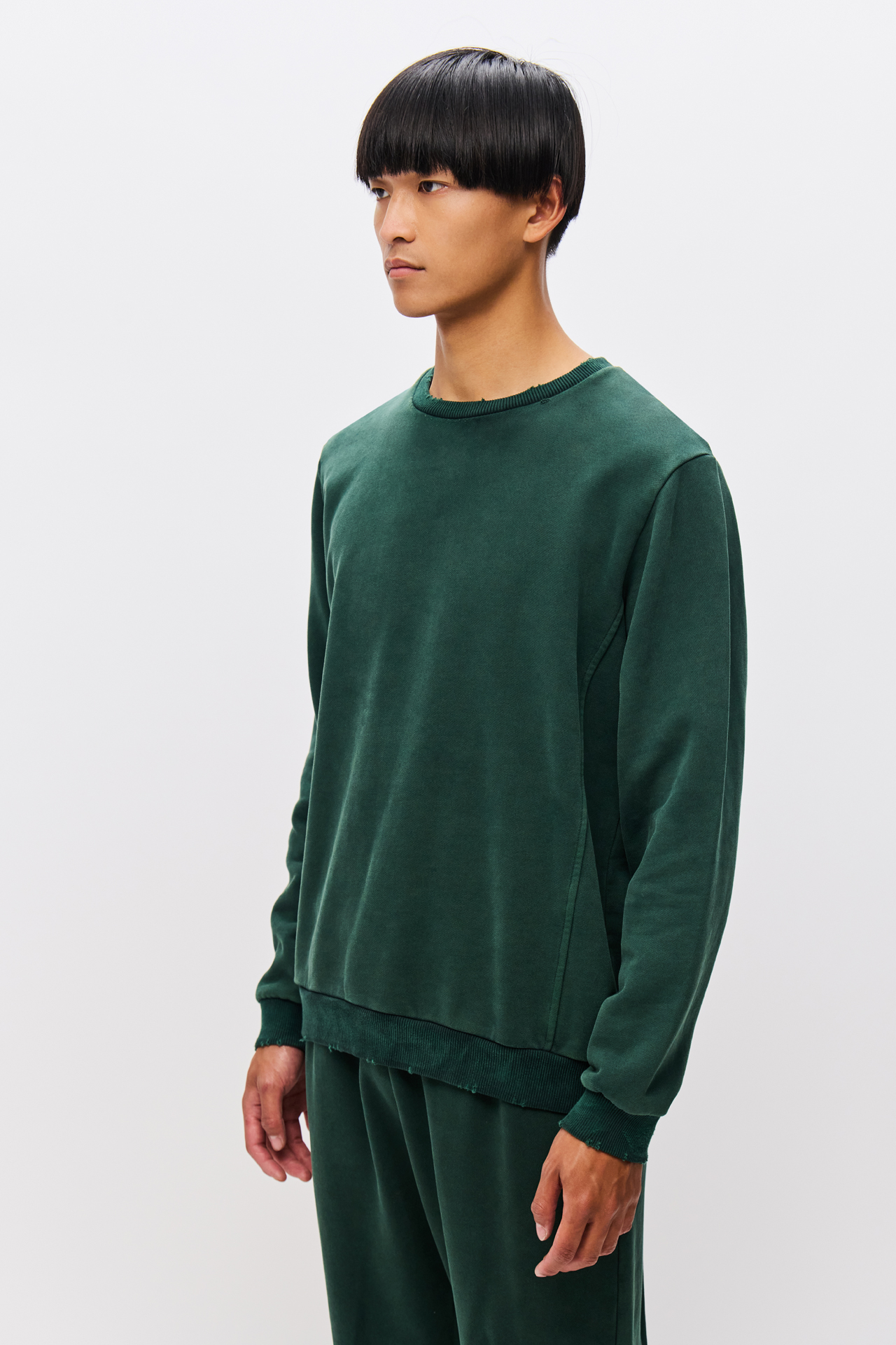 REGULAR CREWNECK WITH DESTROYS