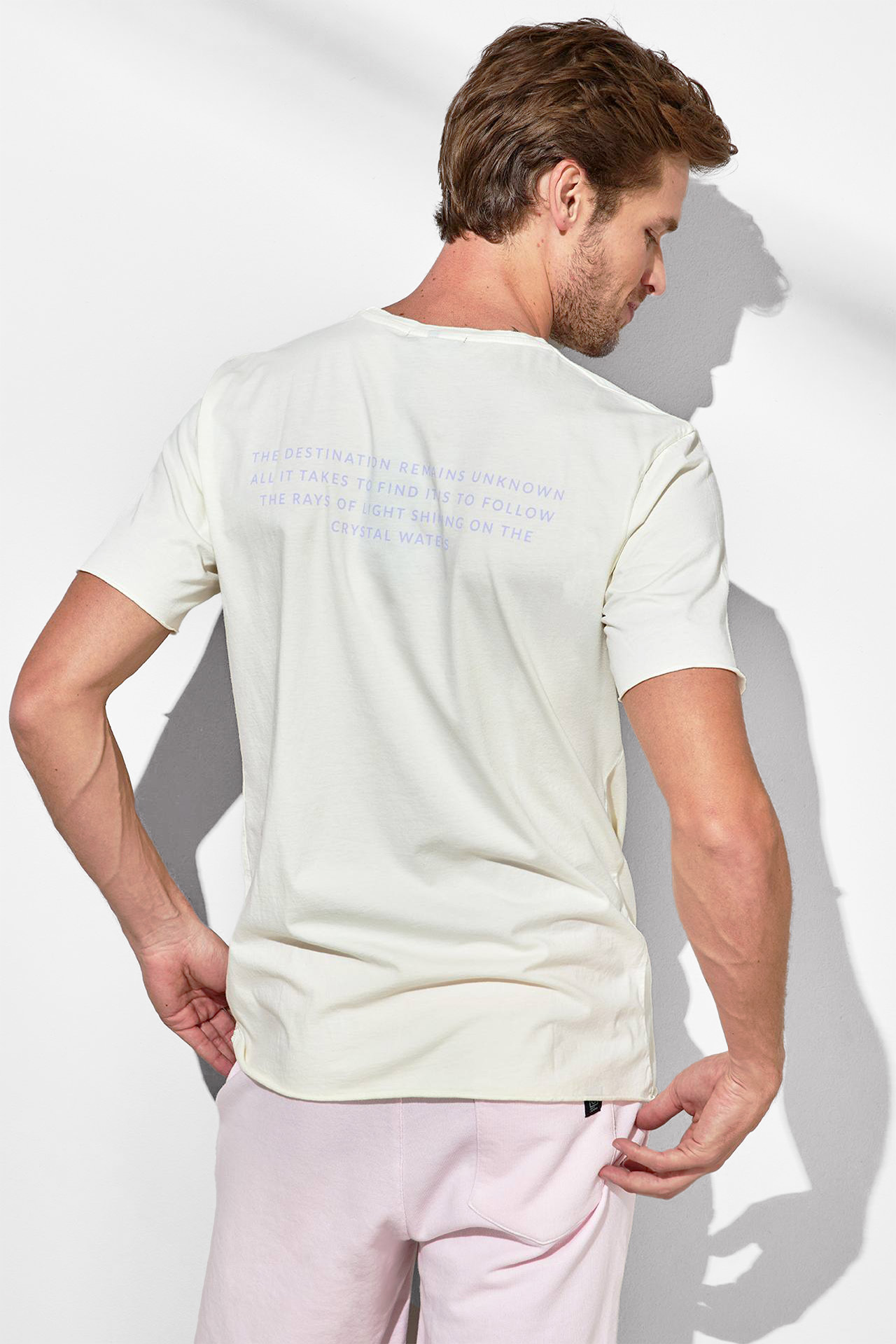 DESTINATION ACID TEE