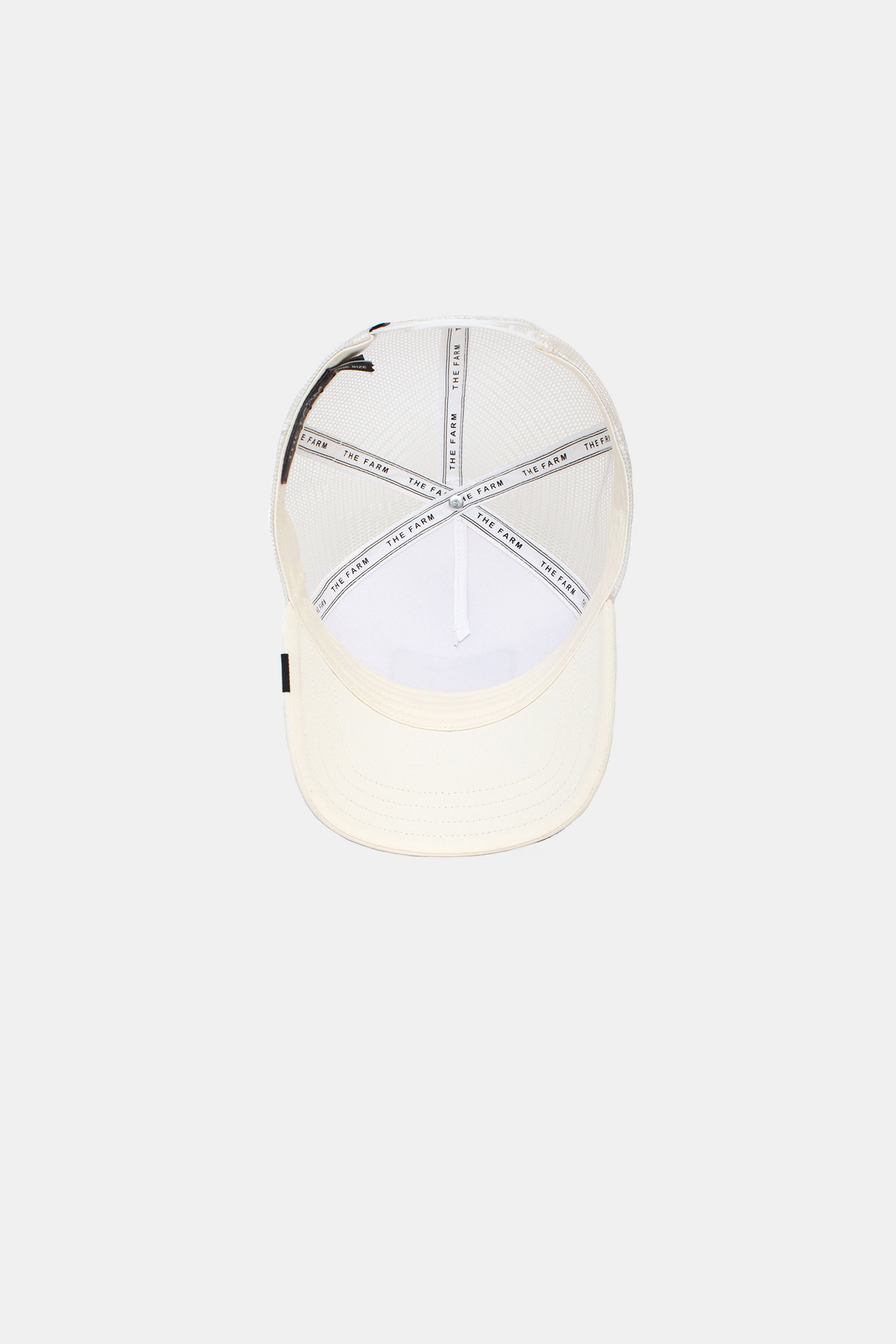 Baseball Cap The Panther