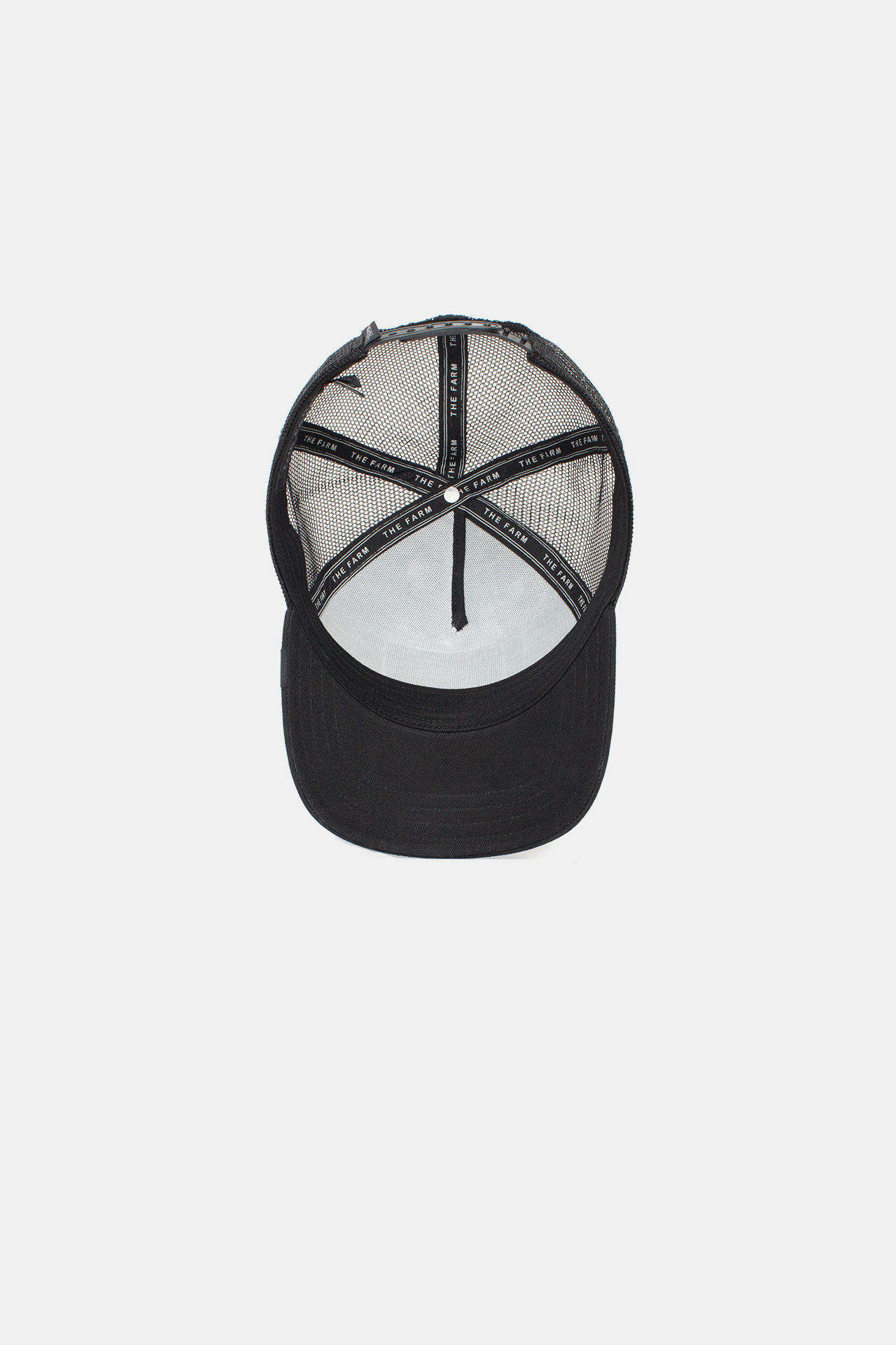 Baseball Cap The Stallion
