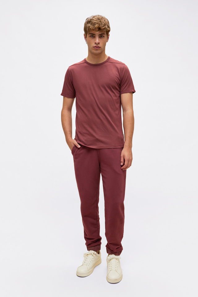 Shortsleeve T-shirt in Regular Fit