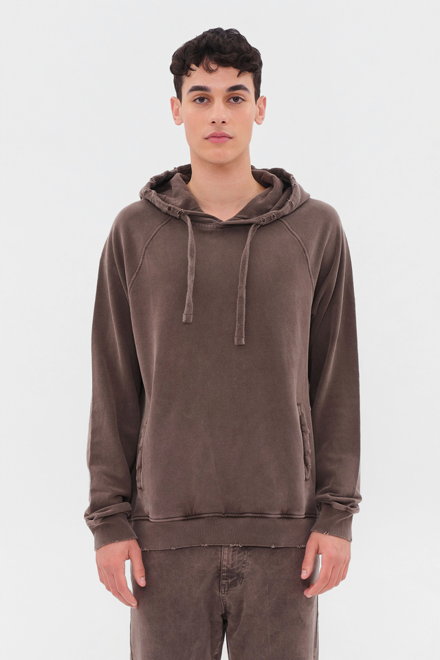 Hoodie with Raglan Sleeves and Details
